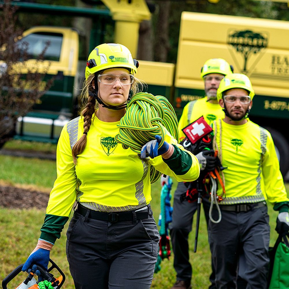 How to Choose the Best Tree Service Company in Manassas VA: 7 Essential Tips